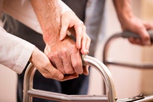 Key Segments in the Japanese Elder Care Market