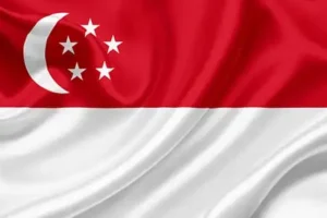 Singapore Medical Device and Pharmaceutical Regulations